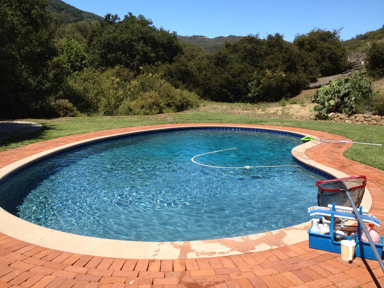 Custom Infinity Pool with Spa & Lighting